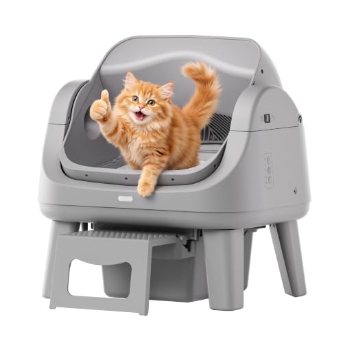 Automatic Self-Cleaning Litter Box, Open Top, 3-Button Control
