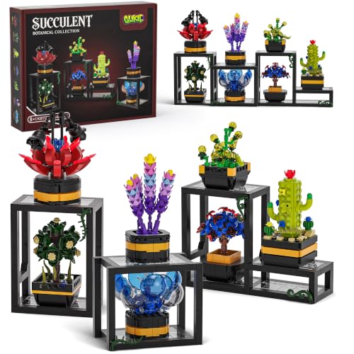 Succulent Building Set w/Modular Stands