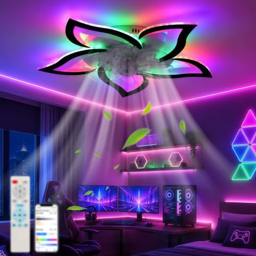 25.8in Low Profile Ceiling Fan with RGB Lights, Black