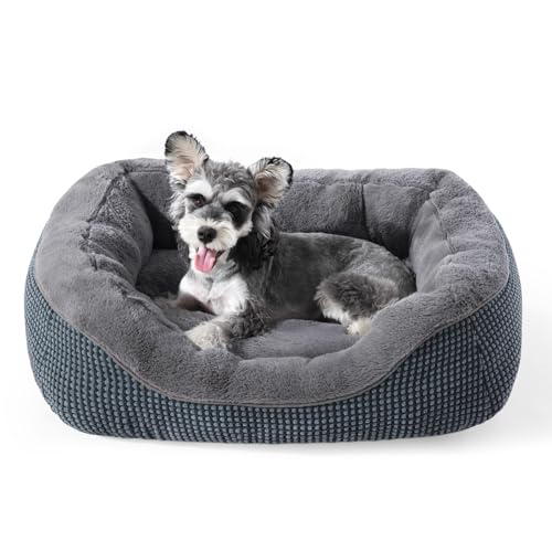 INVENHO Small Dog Bed Orthopedic Washable S 20x19x6