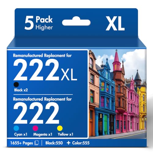 222XL Ink Cartridge Combo Pack for Epson XP-5200/WF-2960