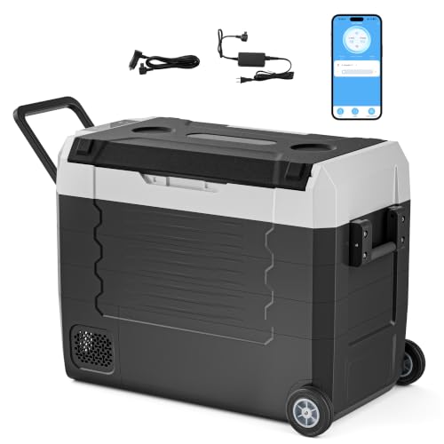 Tehanld 12V Portable Car Refrigerator 58QT with APP Control
